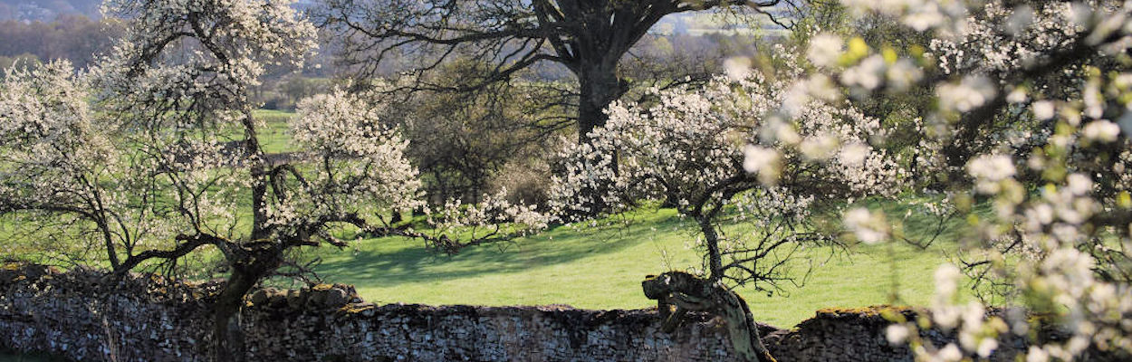 Crosthwaite and Lyth